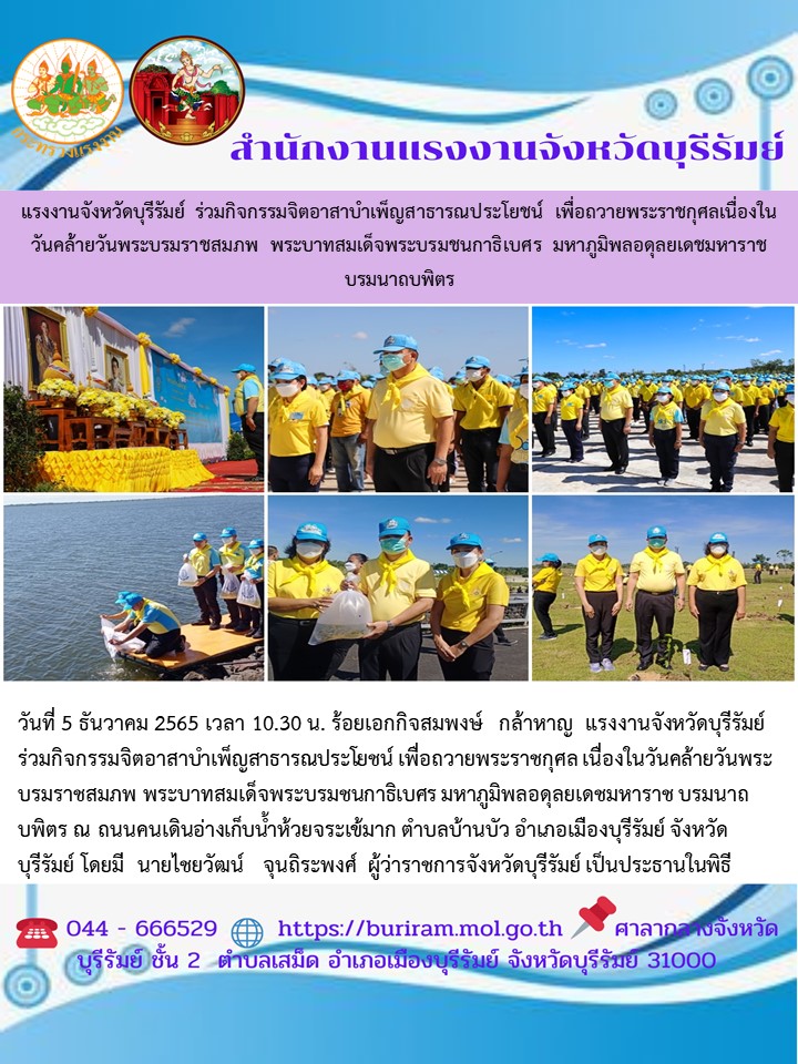 Mol-Thailand